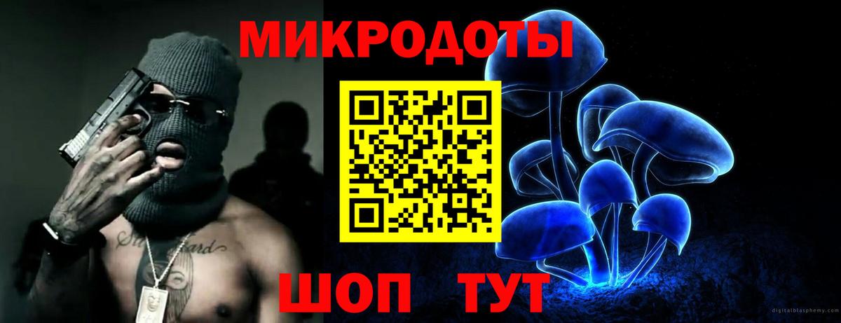 Гулькевичи  Псилоцибиновые грибы Cubensis  Вход с VPN 