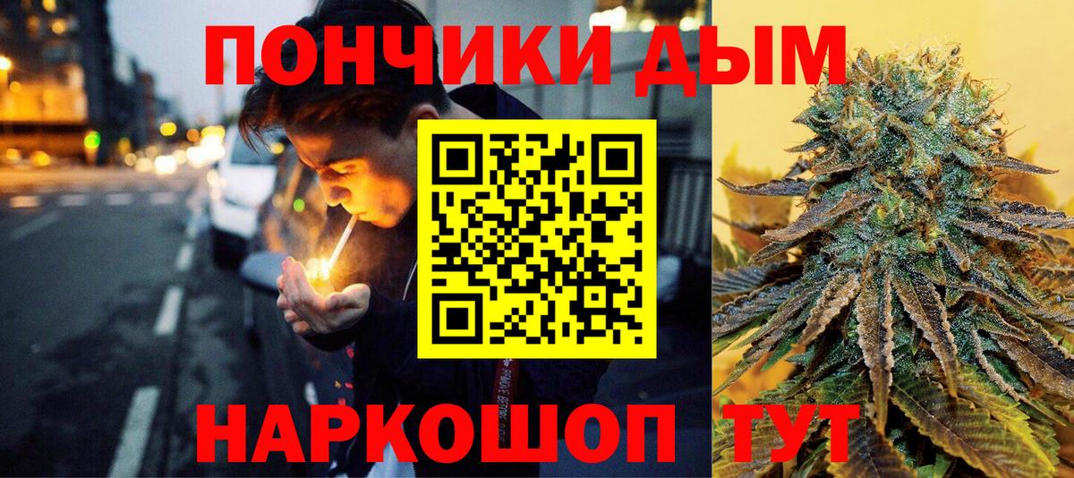 Каннабис сатива Гулькевичи
